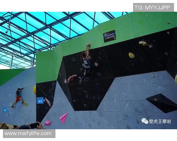 杨芳亲述攀岩技巧与心路历程让你轻松掌握这项极限运动的魅力与乐趣