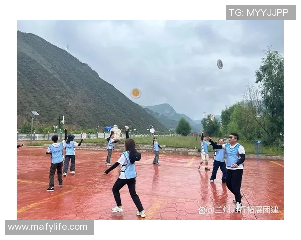 武汉飞盘队的团队协作之道：如何在飞盘运动中实现默契与配合