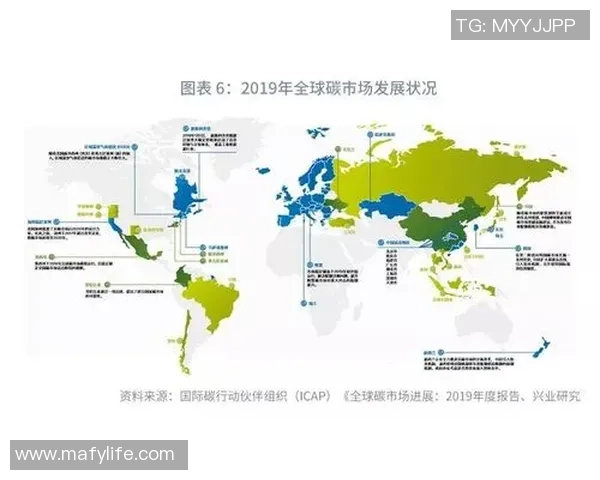 重庆足球队的崛起与发展探讨聚焦球队力量与未来展望