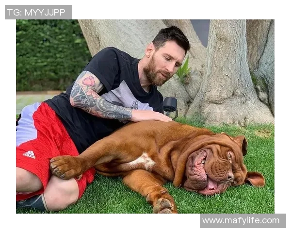 足球明星与爱犬的温馨时刻揭秘买狗视频背后的故事与情感交流 足球明星与爱犬的温馨时刻揭秘买狗视频背后的故事与情感交流