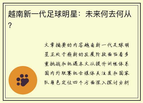 越南新一代足球明星：未来何去何从？