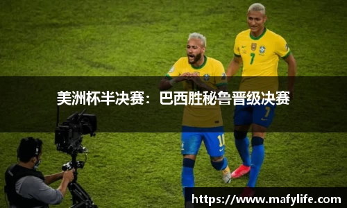 美洲杯半决赛：巴西胜秘鲁晋级决赛